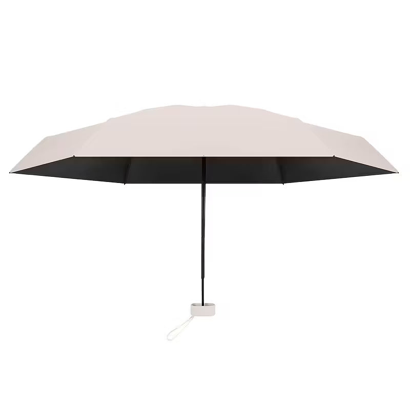 Small Mini Umbrella With Case